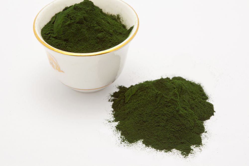 Chlorella_Small