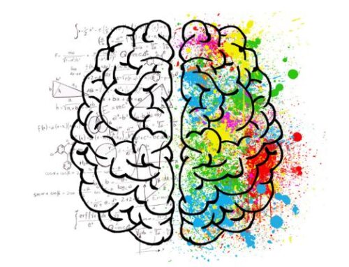 Alimentación, concentración y creatividad