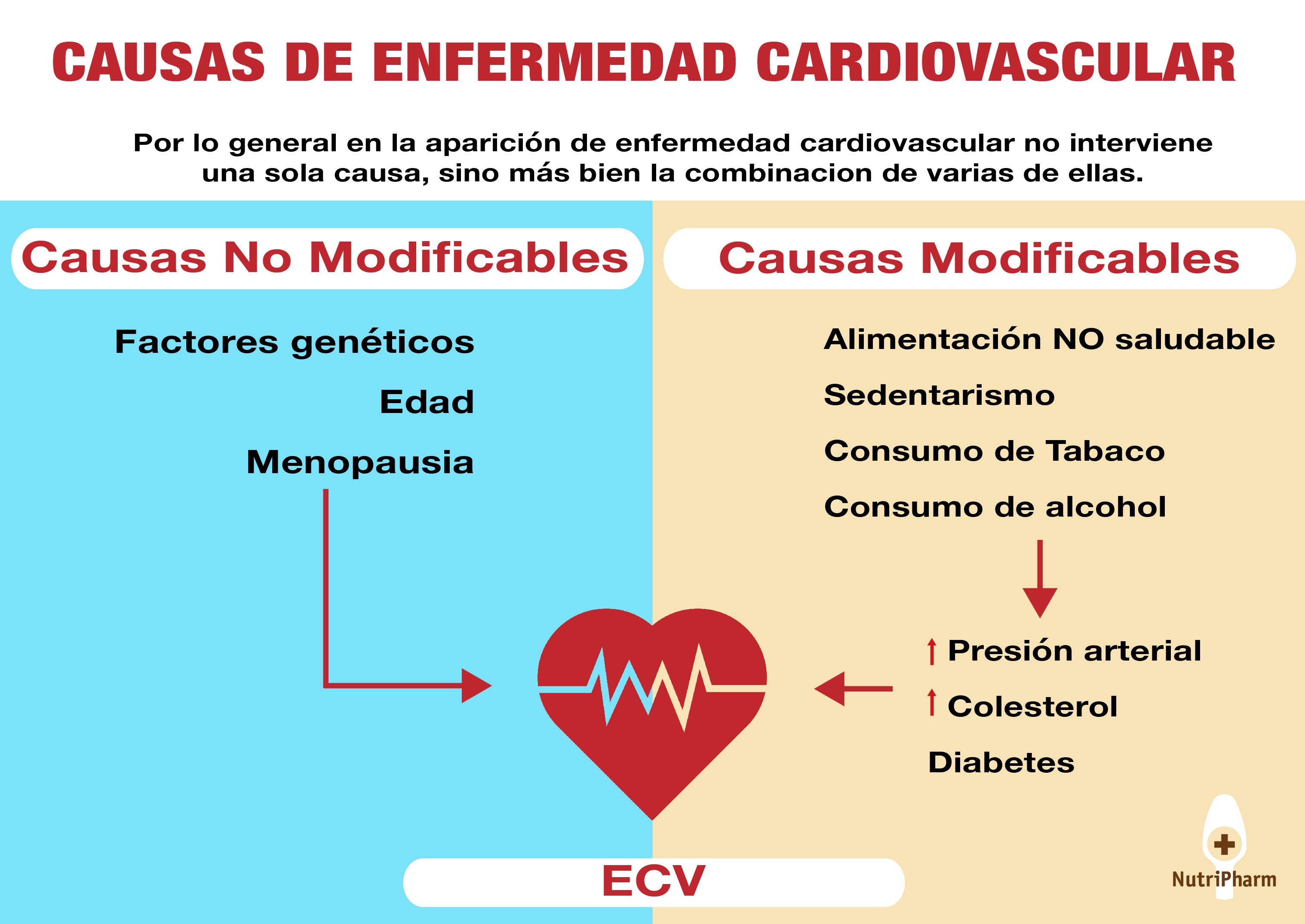 Como prevenir la menopausia